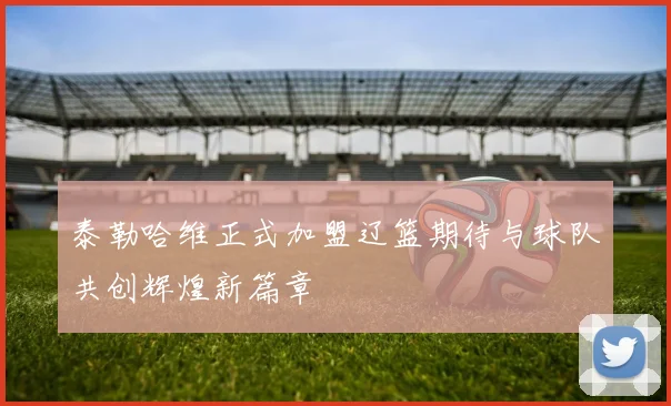 泰勒哈维正式加盟辽篮期待与球队共创辉煌新篇章