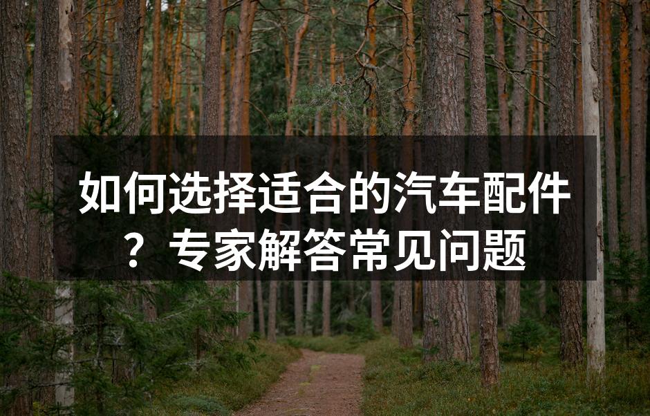 优质汽车配件示例