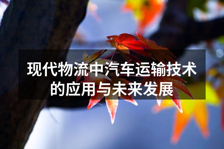 现代汽车物流技术应用示意图