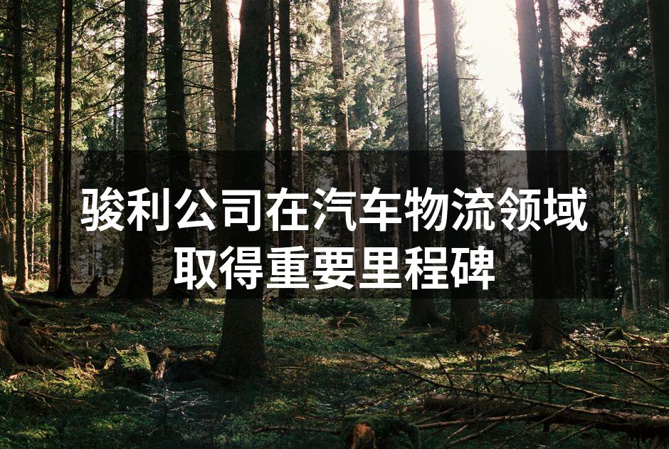 骏利公司总部大楼