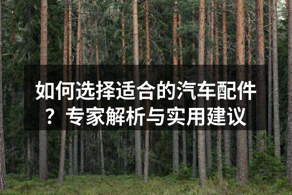 专业技师在检查汽车配件